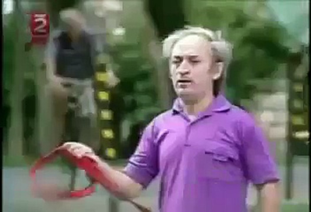 funny dog running