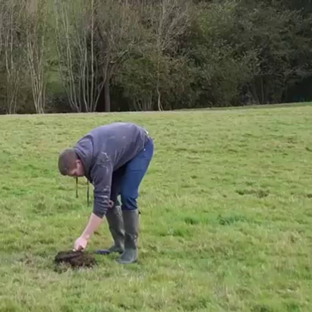 [New] Comedy Movies - Funny Movies - Funny Dhamaka