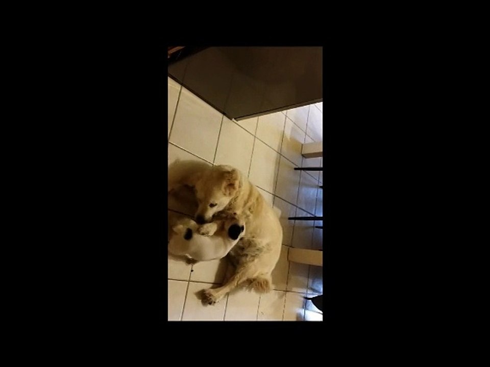 28-09-2015 Apple Leiria