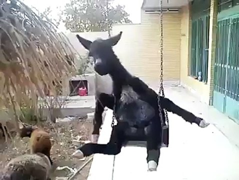 VID-20150930-WA0000.mp4