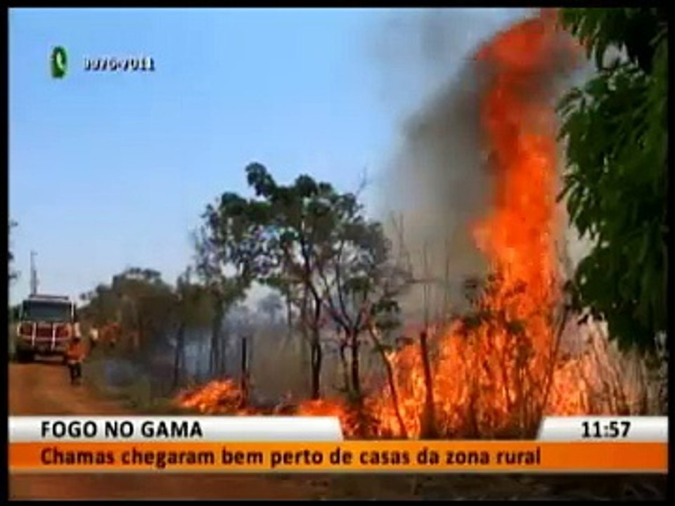 FOGO NO GAMA