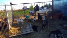 2.10.2015 VILLE SHELTER