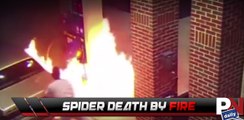 Guy Sets A Fire Trying To Kill A Spider!