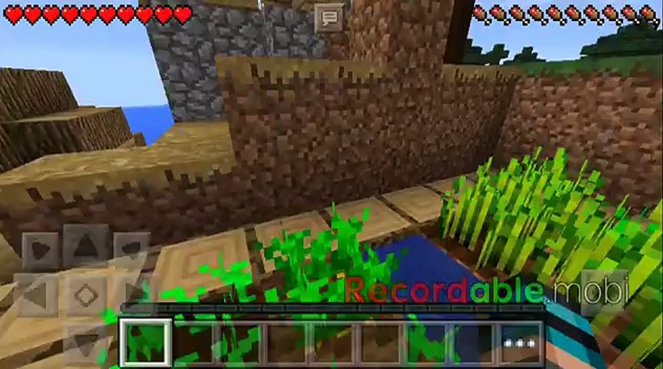Minecraft just4fun
