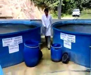 مزرعة أسماك و لا أروع وطريقة لإطعام الأسماك مذهلة