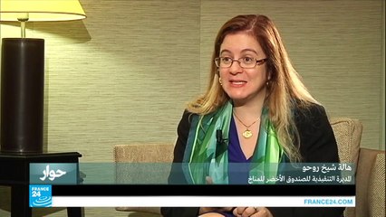 هالة شيخ روحو: لا توجد أي مساهمة مالية عربية في الصندوق الأخضر للمناخ