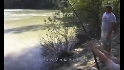 Giant Sturgeon 1,100 lbs caught in British Columbia
