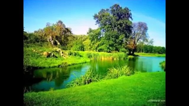 Ayla Büyükataman Bitmez Tükenmez Bu Dert