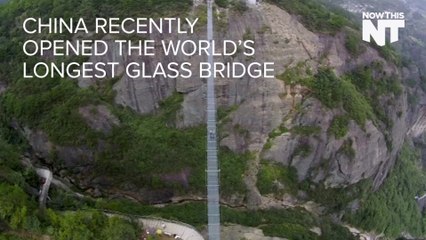 World's Longest Glass Bridge Is A Hell Of A (Terrifying) View