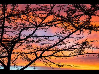 Black Coffee ft Monique Bingham - Deep In The Bottom (of Africa)