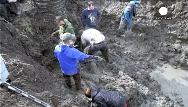 США: фермер нашел мамонта на своем поле