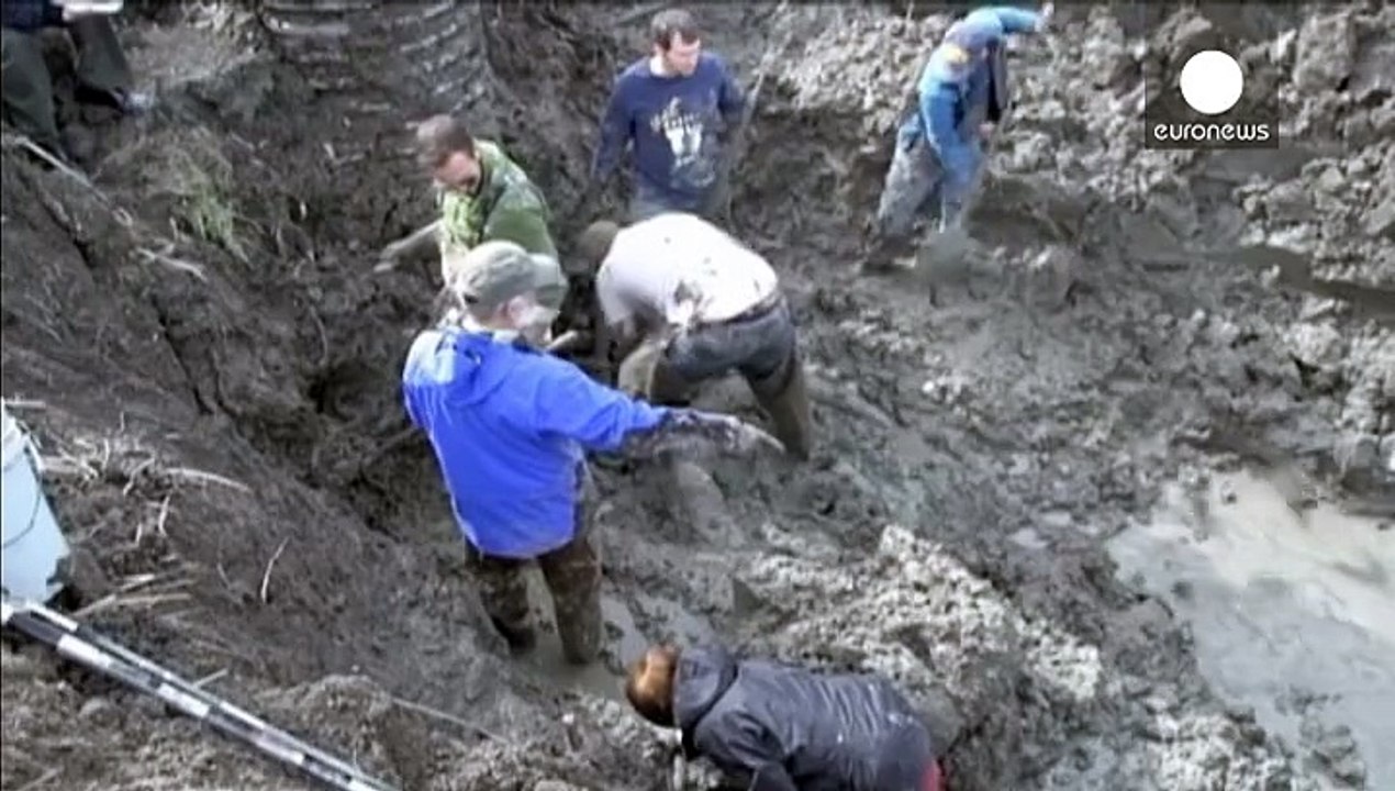Usa: farmer entdeckt mammut