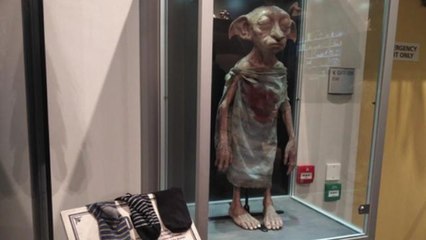 'Harry Potter' fans try to free Dobby statue by leaving socks