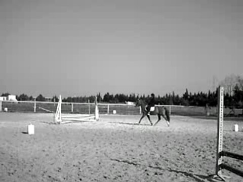 Saut sur le petit oxer