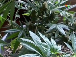 Brazil: Lower House Speaker Under Pressure Over Swiss Accounts