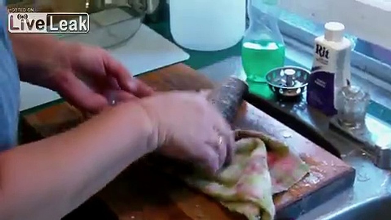 Labor Day Possessed Fish (That's One Pissed Off Filet O Fish)