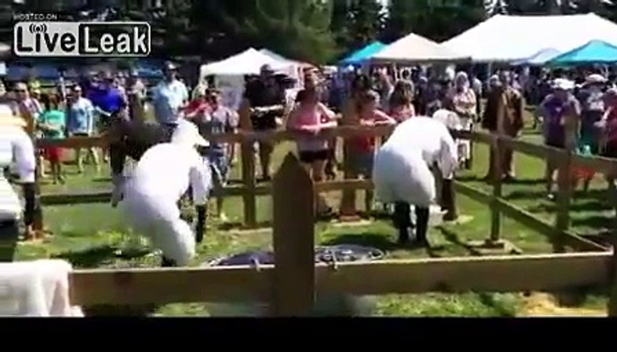 LiveLeak.com - Humans Pretending to be Sheep