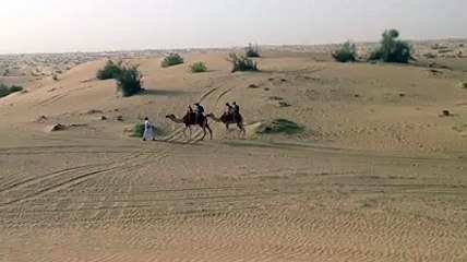 Desert Safari Tours in Dubai