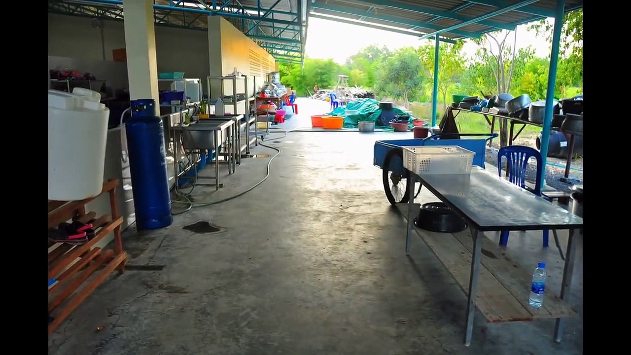 บรรยากาศวัดป่าสระกระโจม : วัดตรีวิสุทธิธรรม : Visudhidham : หลวงพ่อไก่ : Luangporgai