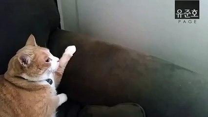 QK안양출장안마010↔2156↔4202㉿화끈바디〖수원출장안마〗안산출장안마✎✓안양출장마사지