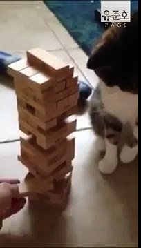 qk안양출장안마『010』『2156』『4195』오산출장안마ク화정출장안마ク성남출장안마ク안양출장마사지