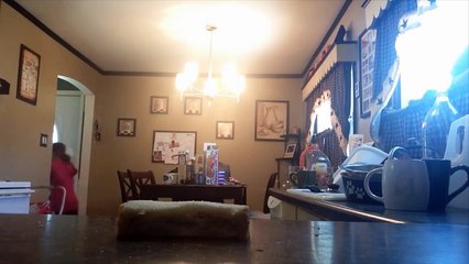 11 Things To Do With Peanut Butter and Jelly Day