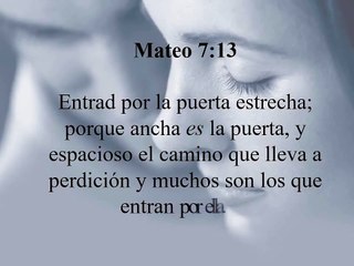 CRISTO CAMINA CONMIGO