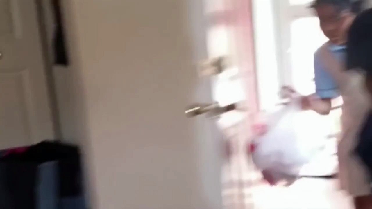 Girl Comes Home to a Puppy Surprise