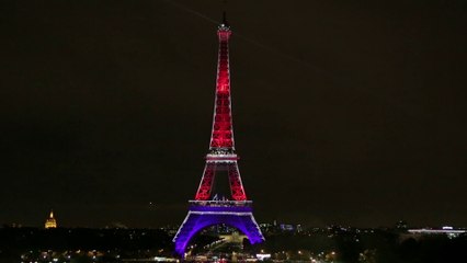Année France-Corée 2015-2016 // Animation lumineuse sur la Tour Eiffel le 18 septembre 2015 (2/2)