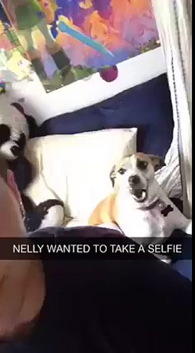 dog selfie
