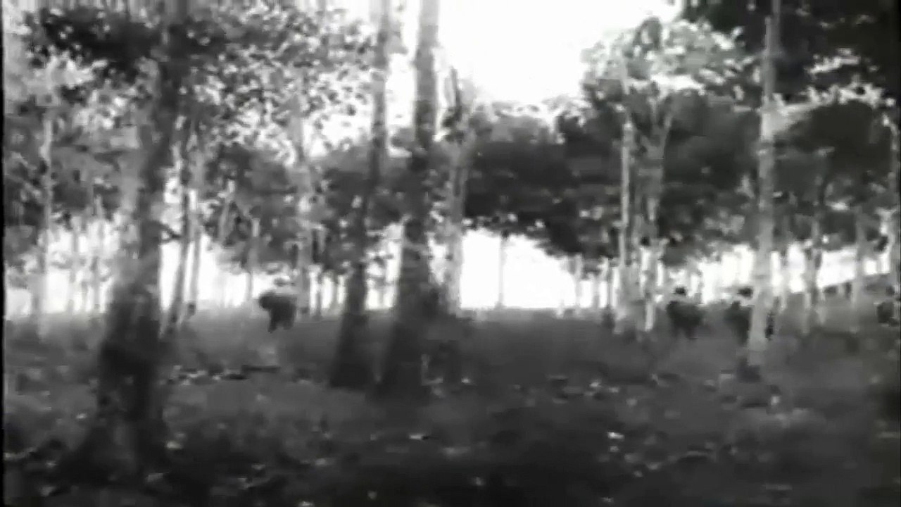 Die Deutsche Wochenschau 10 Dezember 1942