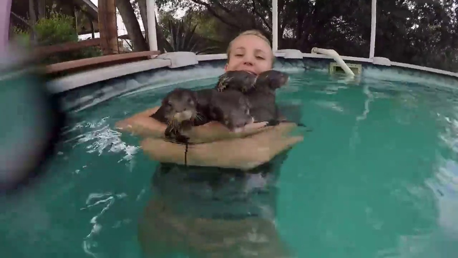 ⁣Luckiest Girl has massive hug with Baby Otters in pool
