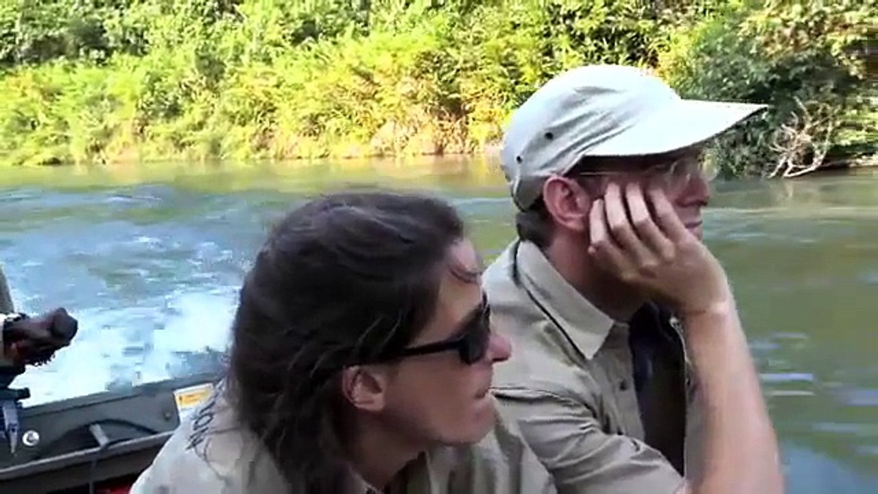 Les retrouvailles touchantes entre un gorille et un homme qui l'a sauvé des années auparavant