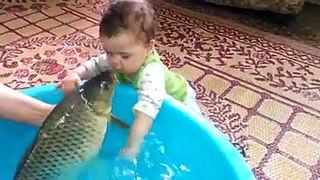Baby and fish fun