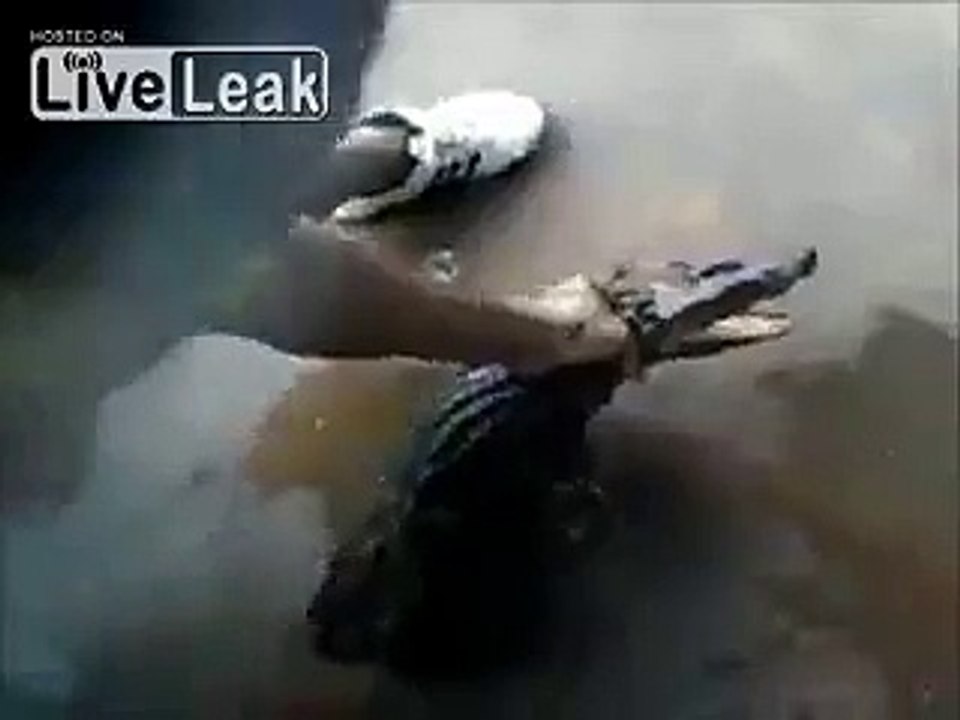 Alligator Bites In Nose