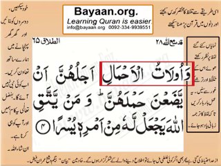 Surrah 065_004B AT-Talaq Very Simple Listen, look & learn word by word urdu translation of Quran in the easiest possible