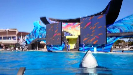 Welcome To 'HumanWorld’, Where Sea Creatures Turn The Tables And Exploit People