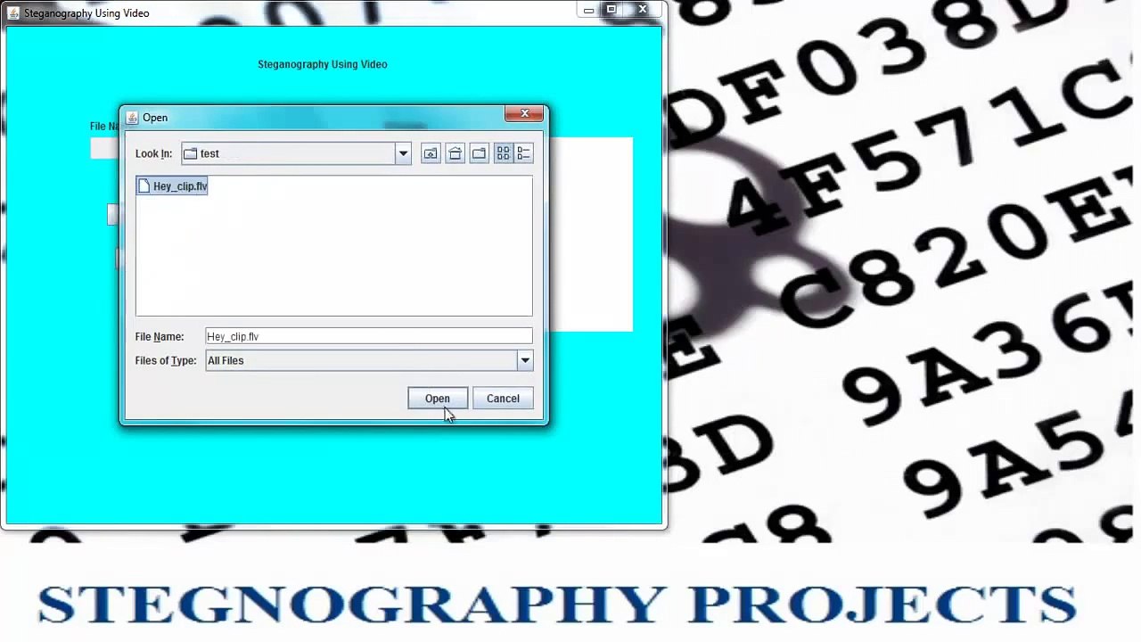 SteganographyProject output - 2015 Steganograph...
