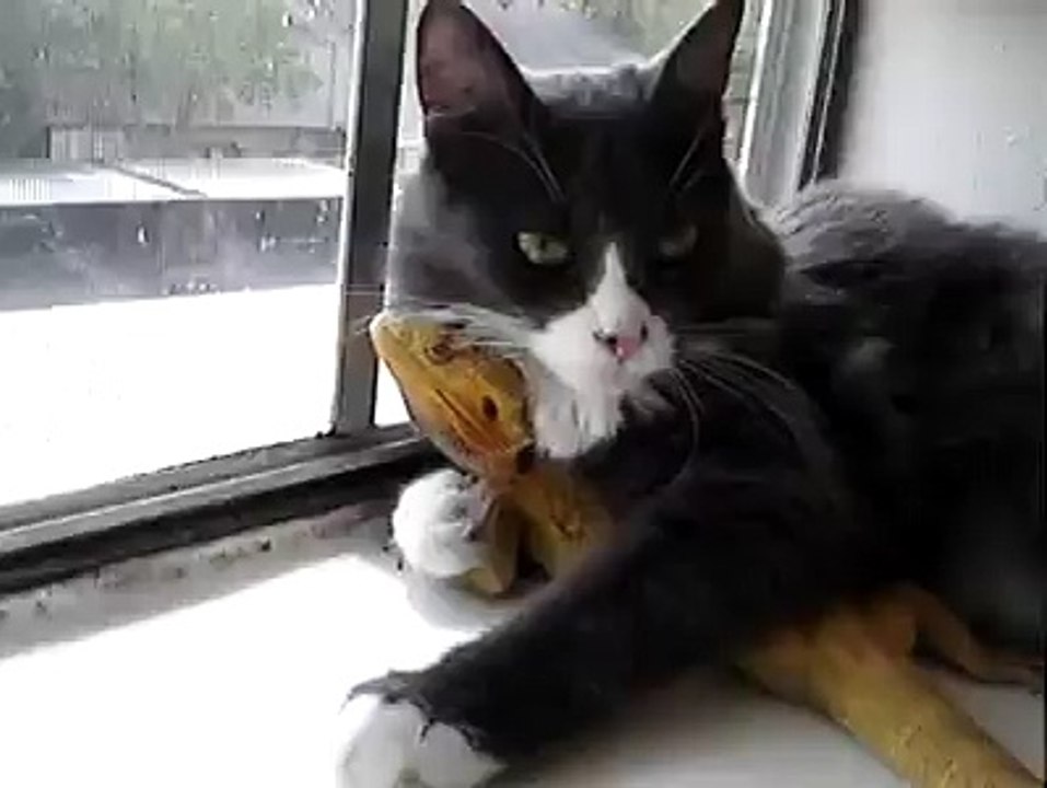 I'll protect you