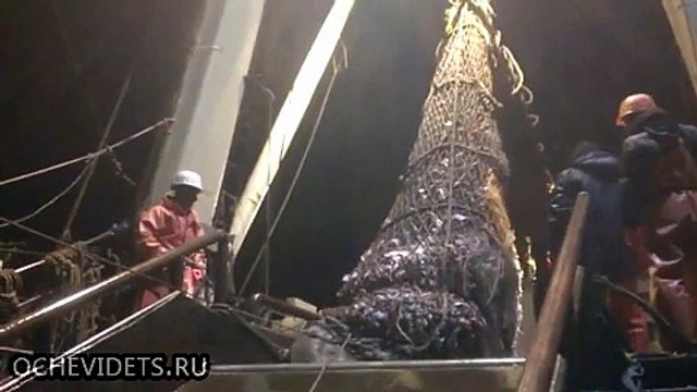 Неожиданный улов