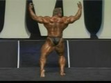 Mr. Olympia 2005