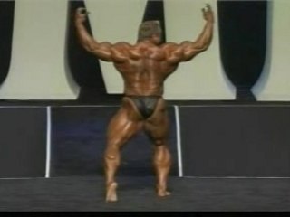 Mr. Olympia 2005