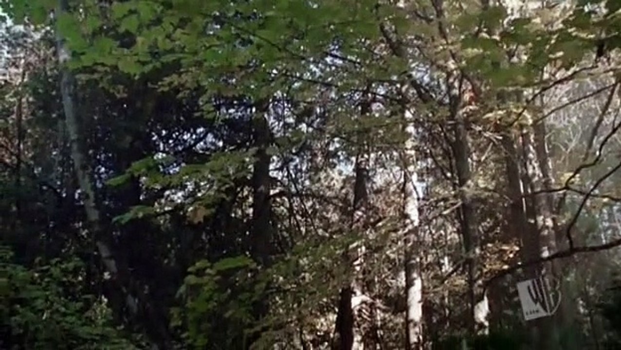 tarzan.s01e07.for.love.of.country