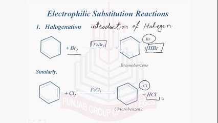 Electrophilic Substitution Reactions [ (1) Halogenation ]