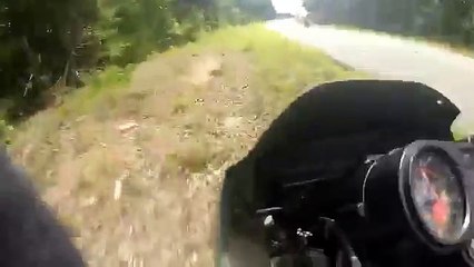 Wheelie Win Turns Into Crash And Fail