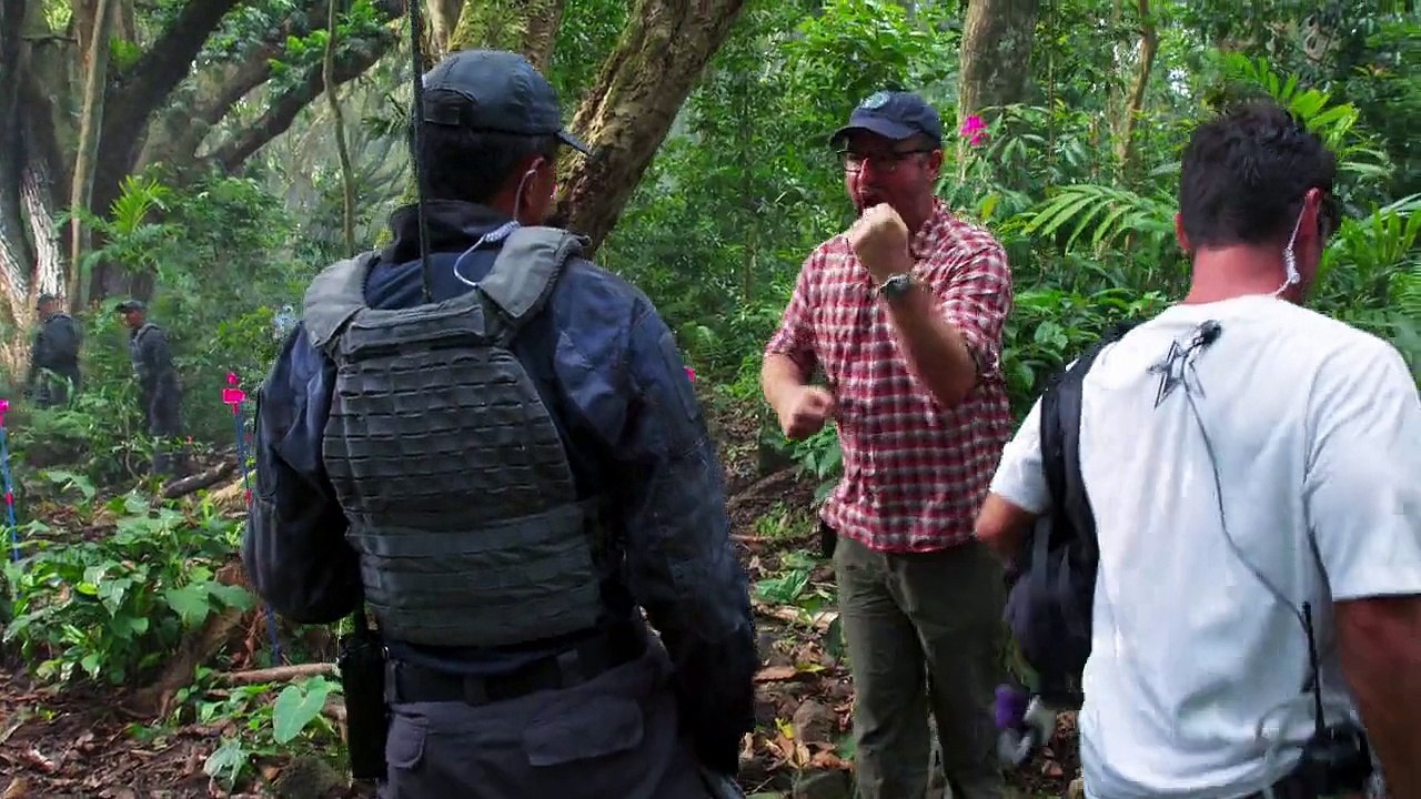 Dinosaurs Roam Once Again