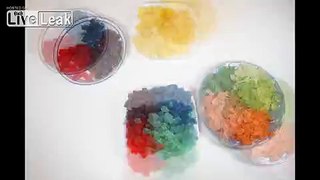 Gummy Bears Stop Motion
