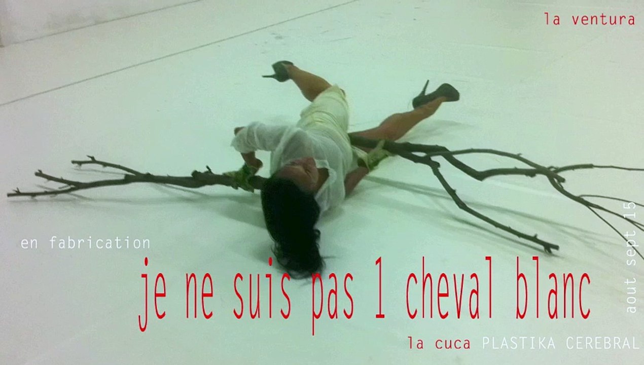 JNSP1CB - La Cuca clip1