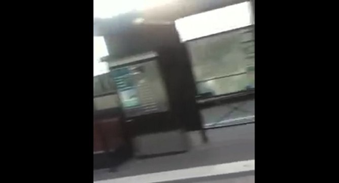 Conducteur de tramway met l'ambiance à Nantes