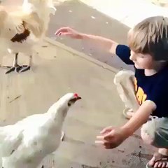 Kid Loves Hen or Hen Loves Kid